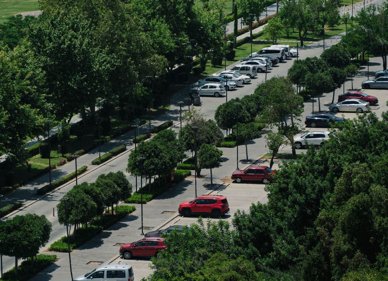 Landscaped commercial parking lot with shade trees, hedges and marked stalls